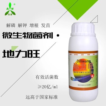 治疗柑橘根结线虫用什么药效果好