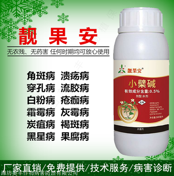 芒果角斑病防治芒果角斑病預(yù)防芒果角斑病用藥