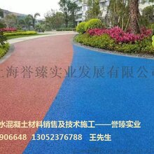 誉臻城市绿道透水混凝土铺装,彩色透水路面施工图片