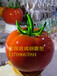 梅州果园创意玻璃钢卡通水果雕塑报价厂家
