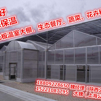 山东潍坊青州聊城菏泽阳光板价格低厂家生产订做双层三层四层阳光板
