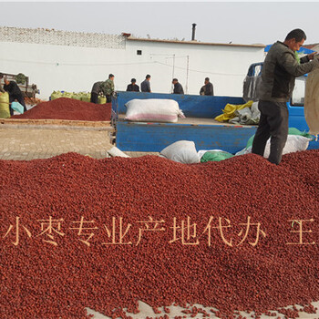 新疆红枣批发市场在哪