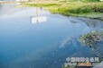 滨州市邹平辖区废油废切削液回收处理_辖区废油废乳化油签订危废合同（最新消息）