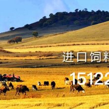 办理进口饲料农业部登记证的流程是什么图片