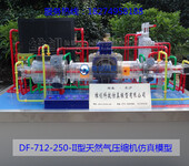 长沙维创DF-712-250-II型天然气压缩机模型厂家直销