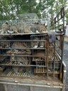 雜交野兔養(yǎng)殖前景養(yǎng)殖成本技術(shù)山東東旺養(yǎng)殖場