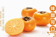 今年日本脆甜柿子多少錢一斤脆甜柿子產地批發價格