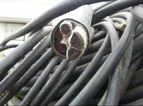 长春废旧电缆回收（近期）长春电缆回收价格图片0