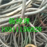静海电缆回收公司图片2
