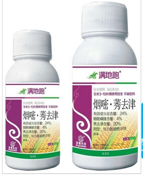 玉米除草劑—滿地跑│玉米除草劑批發(fā)價(jià)格│苗后除草劑廠家24煙嘧磺隆.莠去津安全劑