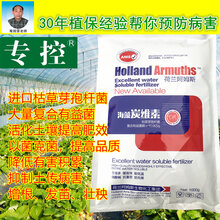 海藻炭维素生根快草莓苗灌根抗重茬微生物菌肥图片