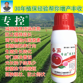 番茄?？毓喽嗵岣叻炎薀o空洞果防止番茄落果控制番茄旺長葉面肥