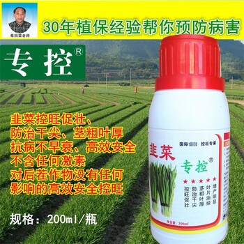 韭菜專(zhuān)控不讓韭菜旺長(zhǎng)使韭菜粗壯韭菜抗倒伏提高韭菜抗病能力