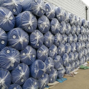 乐平200升蓝色塑料桶食品包装桶耐酸碱耐腐蚀