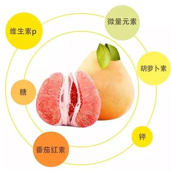 万春寨特产城蜜柚之乡平和琯溪蜜柚，挡不住的“柚”惑！