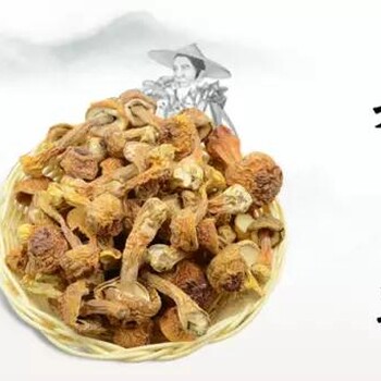万春寨特产城姬松茸，又名“巴西菇”，多种效用，多吃菌类，益于健康！