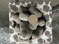 周口陶粒滤料，周口建筑陶粒，周口回填陶粒规格10-30mm图片1