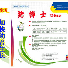 猪博士提高采食量/快速增肥图片