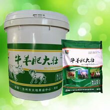 育肥牛专用牛羊猛长素育肥牛羊饲料预混料牛羊肥大壮图片
