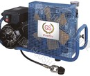 厂家直销高压活塞式空压机消防潜水充氧气瓶用GSX100图片