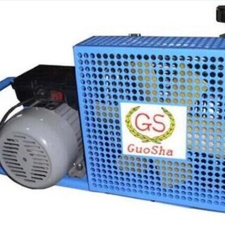 GSW200检测高压空压机_0.2立方300公斤压缩机图片2