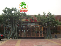 上海仿真椰子树仿真棕榈树仿真植物批发图片3