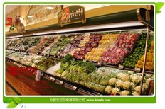 宝尼尔厂家供应广东云浮水果保鲜柜，厂家质量不好不要钱，厂家地址电话图片2