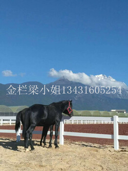 馬場護欄那家好？金欄篩網的裝飾護欄受歡迎