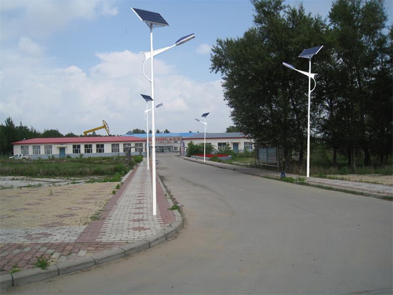 批发新农村建设太阳能路灯，齐齐哈尔路灯厂，6米50W路灯