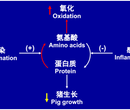 丝兰宝将改名为“抗热宝”?