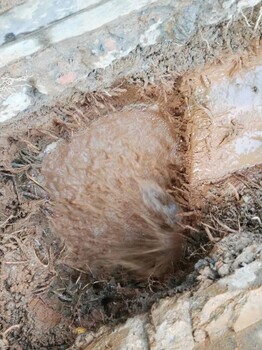 陽東噴淋管道漏水檢測漏水檢測一次多少錢
