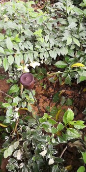 懷集暗管管道漏水檢測(cè)漏水檢測(cè)方法