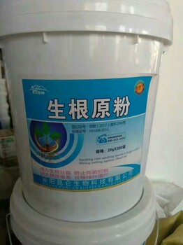 福建基地秧苗用的哪種壯根葉面肥