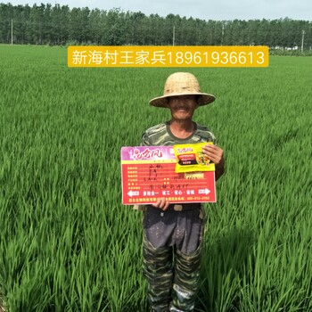 防治水稻稻瘟病加快水稻灌漿葉面肥套餐昆侖風(fēng)