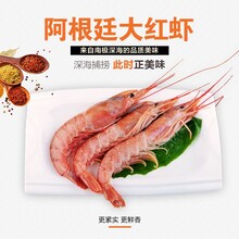 杭州进口虾哪里买杭州阿根廷红虾怎么样杭州厄瓜多尔白虾