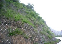 贵州边坡防护网施工贵州防护网厂家贵州钢丝绳网规格贵州柔性防护网价格图片1