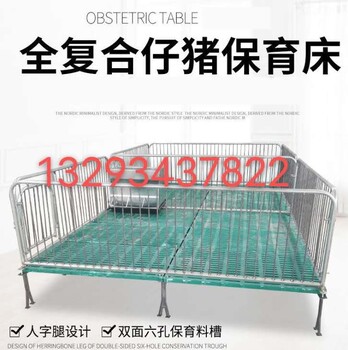 小猪围栏猪用保育床双体产床保育床限位栏仔猪保育床加工厂家