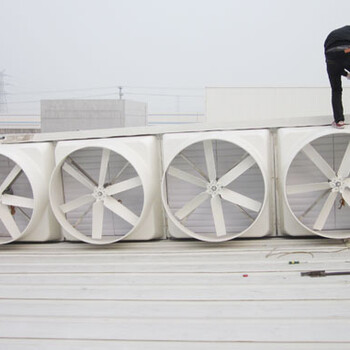 上海屋顶排风机厂家供应