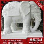 汉白玉石大象雕塑_惠安汉白玉大象厂_汉白玉石大象报价