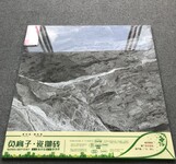 北欧风负离子通体大理石佛山品牌瓷砖地砖现代灰客厅防滑地板砖