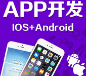 洛阳网站制作公司APP定制开发