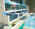 廣州東莞海鮮池魚缸設計制造安裝廠家