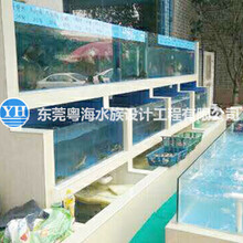 惠州设计定制海鲜鱼池室内鱼缸贝类池厂家图片
