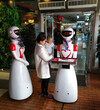 送餐机器人服务员迎宾机器人展会活动表演机器人出租赁图片