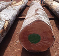 非洲安利格木进口木材进口报关需要国外准备哪些单证呢