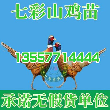 广西柳州狮头鹅苗价格