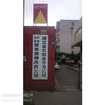 中国湖北武汉鄂美猪种改良公司简介