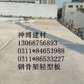 河北廊坊钢骨架轻型网架板天基板生产商3