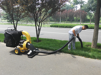 树叶收集器树叶收集车树叶粉碎机道路落叶清扫机手扶式树叶收集器图片2