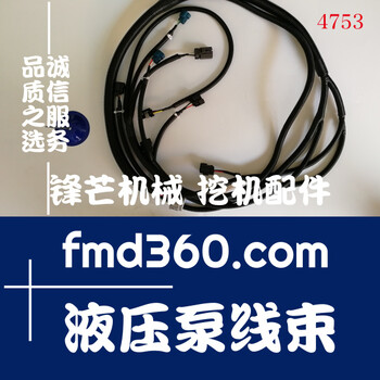 挖掘機(jī)電器件日立電噴挖掘機(jī)ZX240-3液壓泵線束